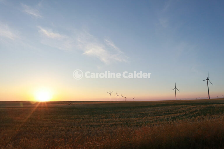 Windmills in the morning