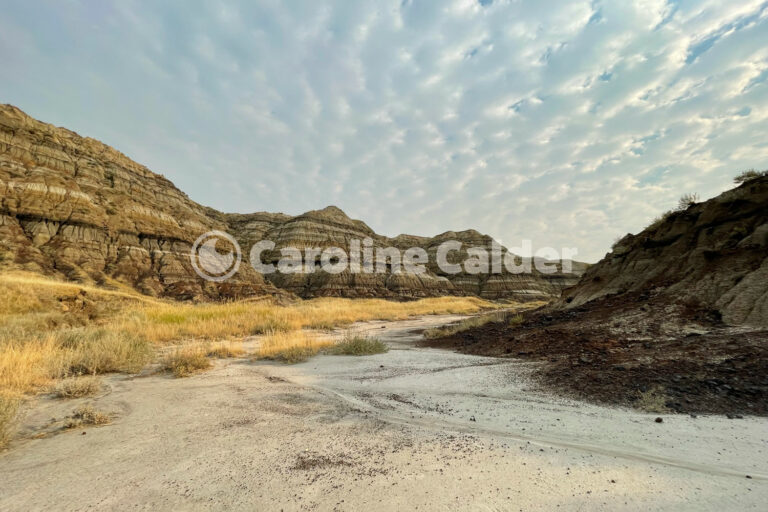 Morning in Drumheller