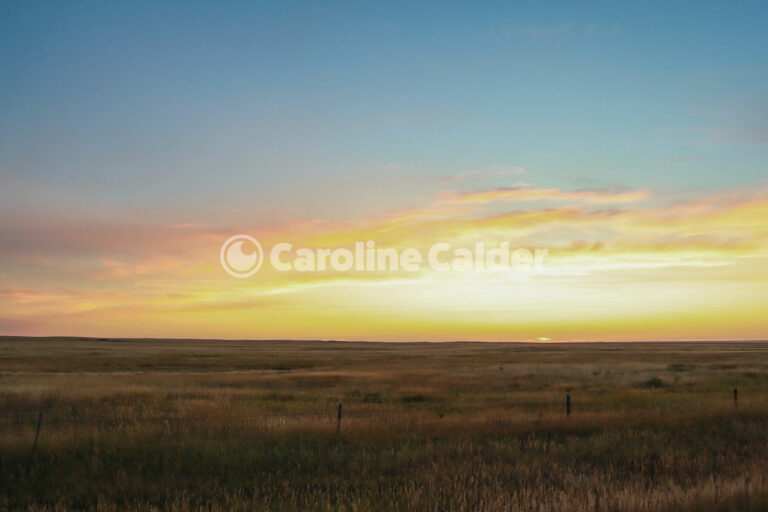 Fence line at sunset in Taber, Alberta