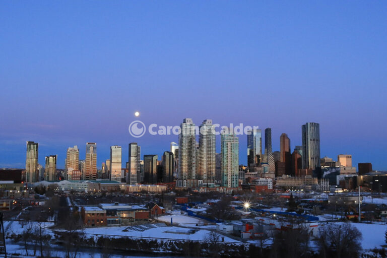 Downtown Calgary in Winter